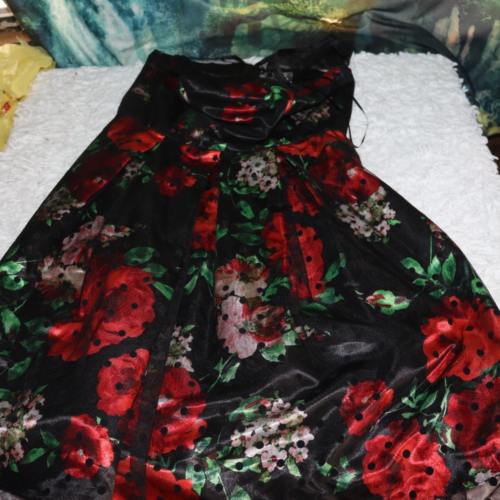 Women’s SD Collection Floral Fit And Flare Dress